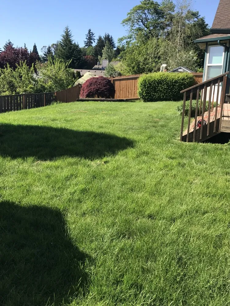 Professional outdoor landscaping experts serving Poulsbo, WA - Cline & Maib