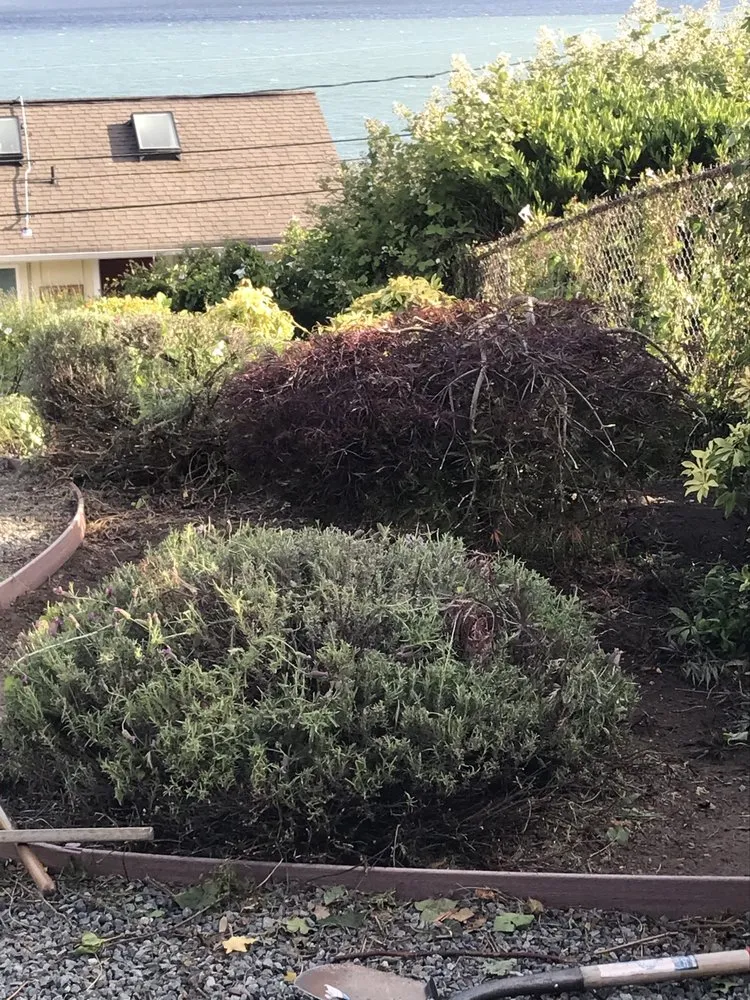 Affordable landscape design for homes in Poulsbo, WA by Cline & Maib