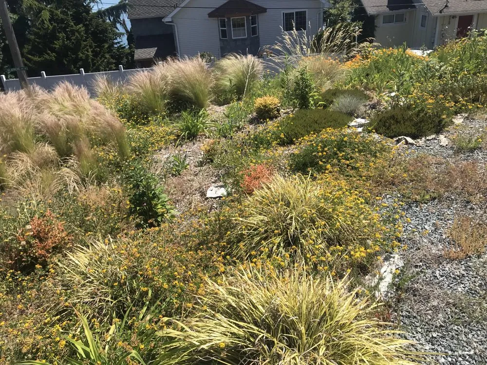 Local yard maintenance in Poulsbo, WA - Cline & Maib