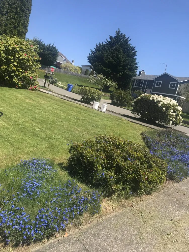Affordable yard maintenance in Poulsbo, WA - Cline & Maib