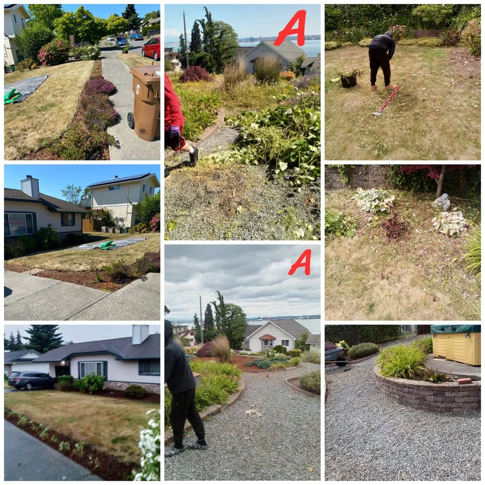 Reliable lawn mowing service in Poulsbo, WA by Cline & Maib