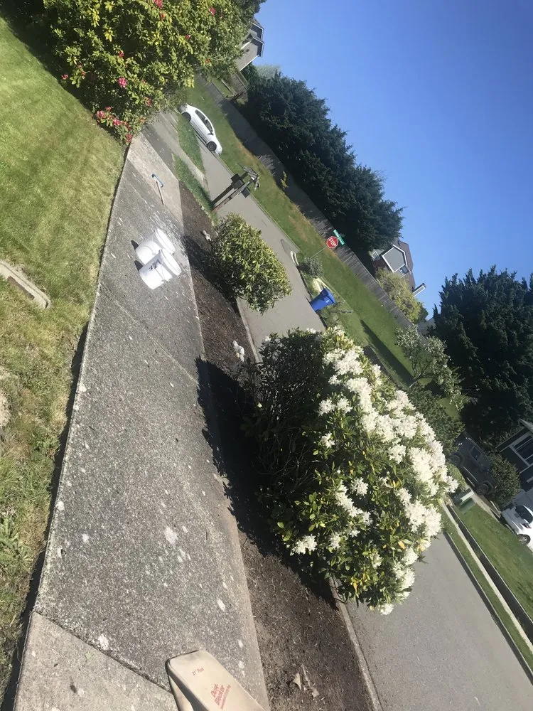 Expert garden landscaping in Poulsbo, WA - Cline & Maib