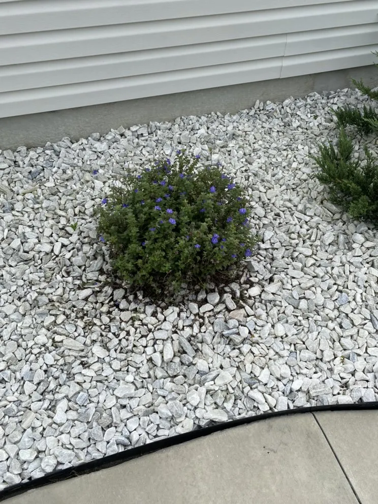 Top-rated yard maintenance for outdoor upgrades in Silver Springs, FL by Cline Landscaping