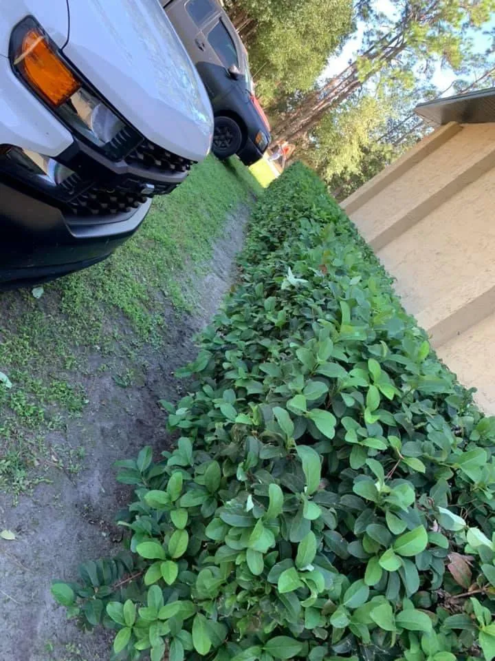 Local yard cleanup service in Silver Springs, FL by Cline Landscaping