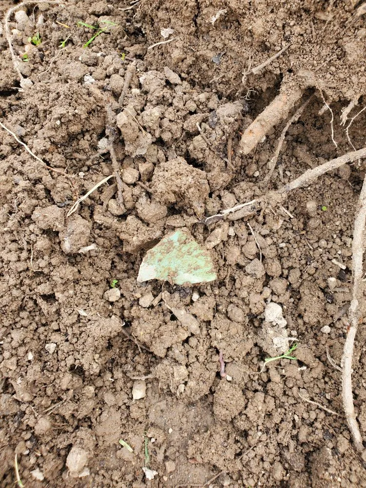 Custom yard cleanup service experts serving Saline, MI - Clink Landscaping & Nursery