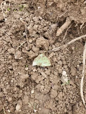 Clink Landscaping & Nursery