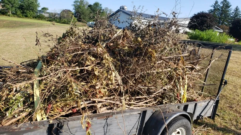 Custom lawn mowing service in Lock Haven, PA by Clinton County Landscaping & Lawncare