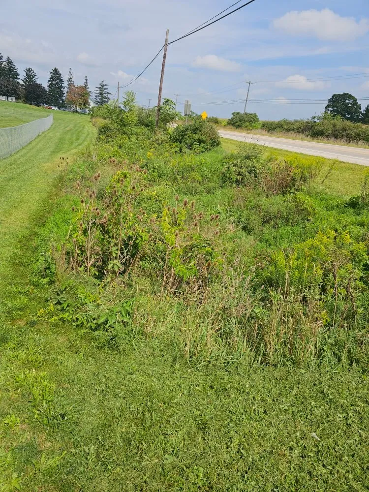 Custom landscaping services for year-round maintenance in Lock Haven, PA by Clinton County Landscaping & Lawncare