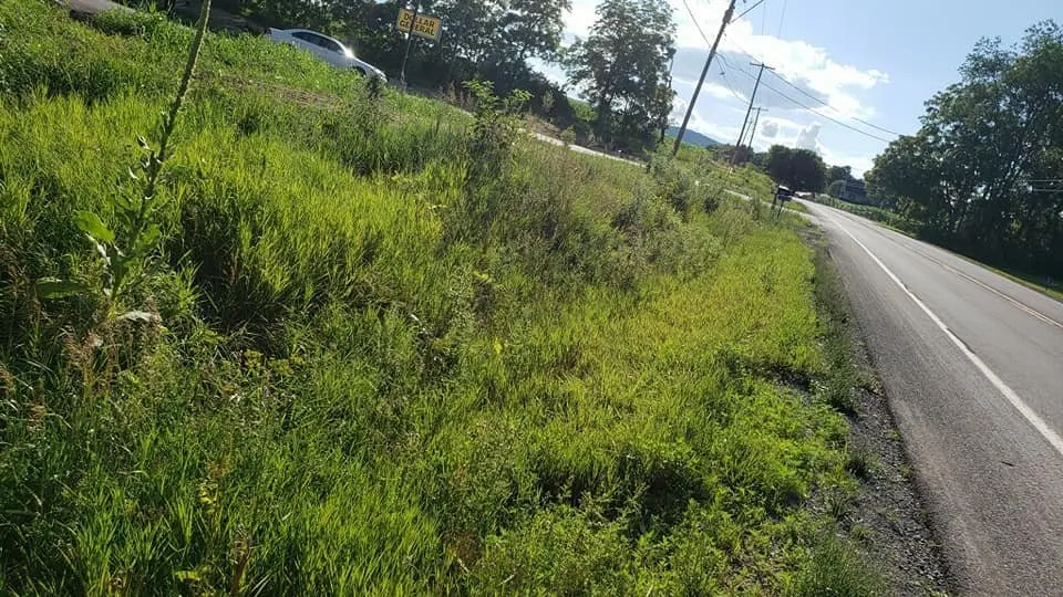 Custom outdoor landscaping experts serving Lock Haven, PA - Clinton County Landscaping & Lawncare