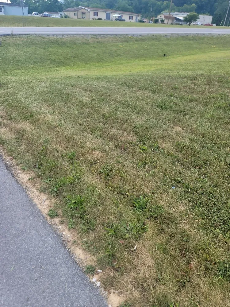 Expert landscape design in Lock Haven, PA - Clinton County Landscaping & Lawncare