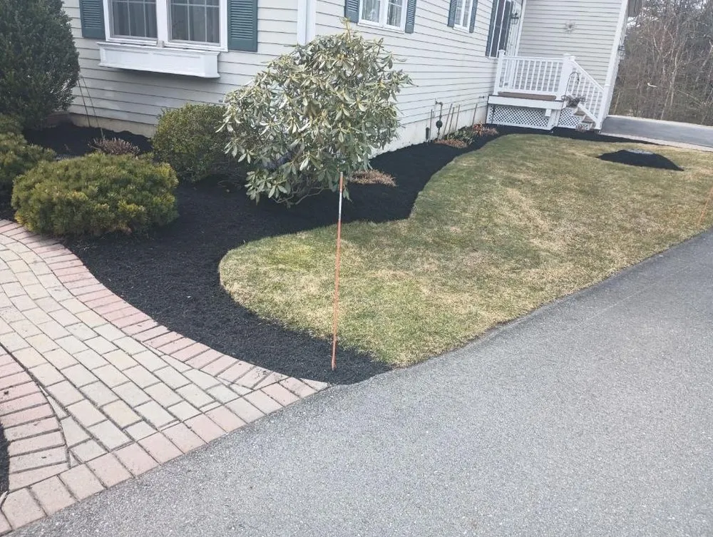 Professional yard cleanup service in Boston, MA by Clinton Landscaping