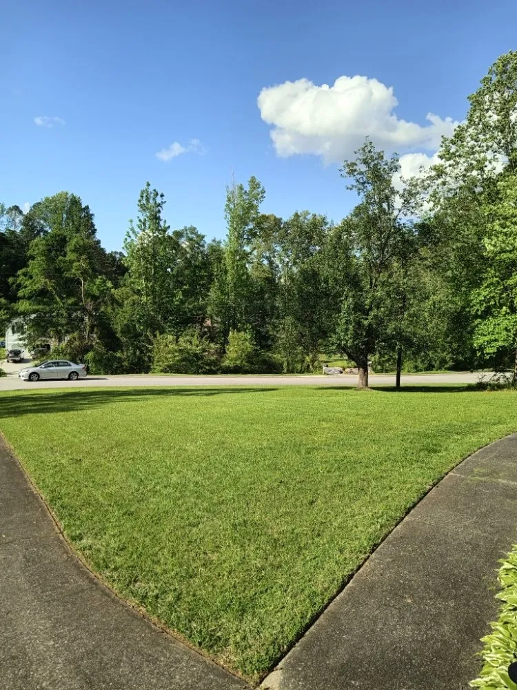 Expert yard cleanup service in Dallas, GA by CLINT'S LANDSCAPE
