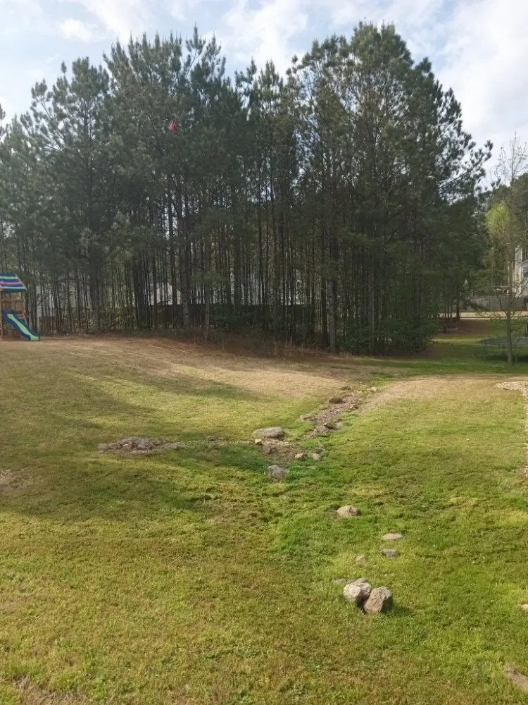 Expert landscaping services in Dallas, GA - CLINT'S LANDSCAPE