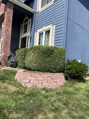 Clint's Lawn Service Logo