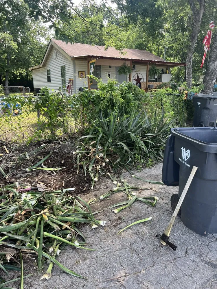 Custom yard cleanup service for residential properties across Waco, TX - Clint’s Lawn Service