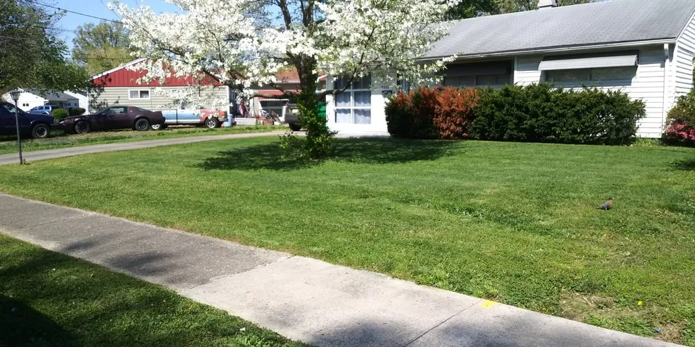 Reliable yard cleanup service in Louisville, KY by Clip It Clean It Lawn Care