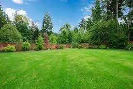 Custom yard cleanup service experts serving Bunnell, FL - Clip it Good Mowing