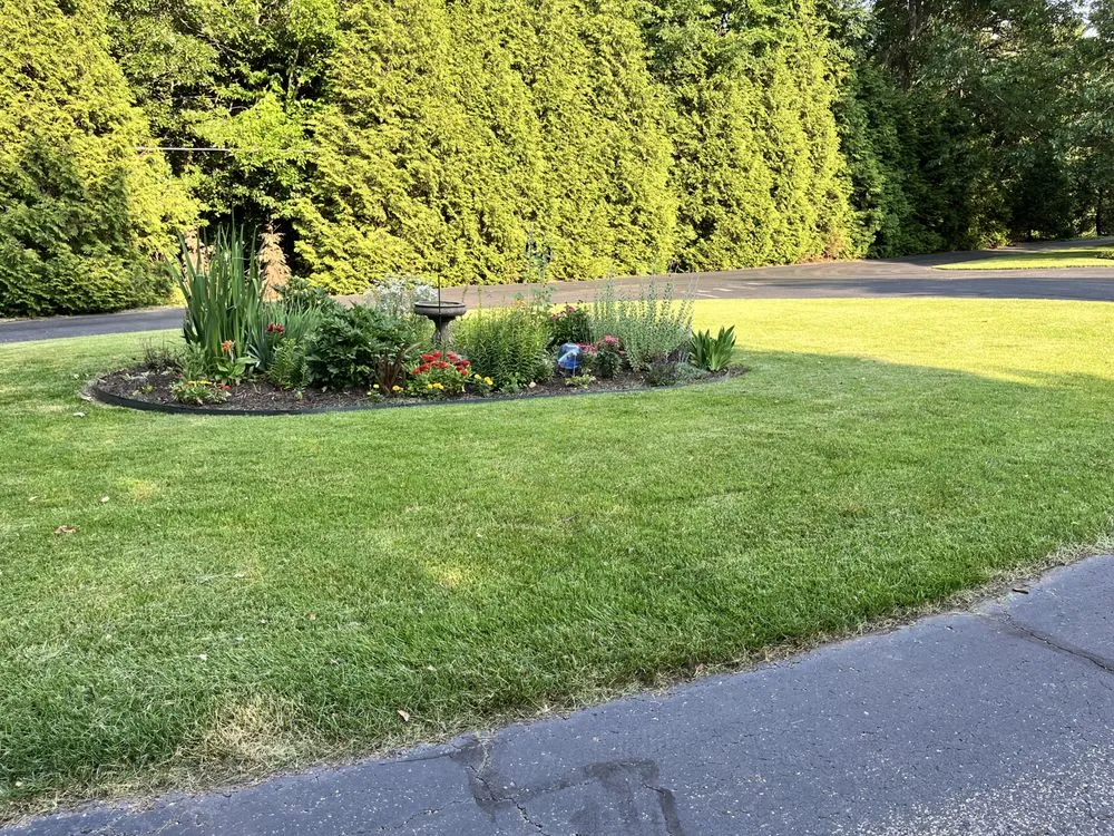 Local residential landscaping for residential properties across Carl Junction, MO - Clip It Green Lawns