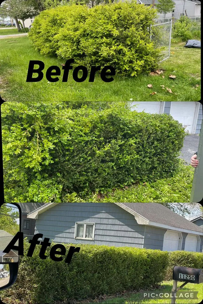 Expert yard cleanup service in Monroe, MI by Clip It Lawn Care