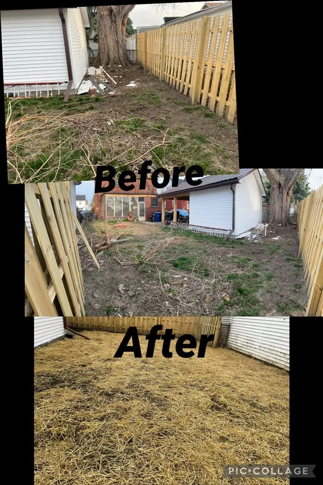 Local lawn care service experts serving Monroe, MI - Clip It Lawn Care