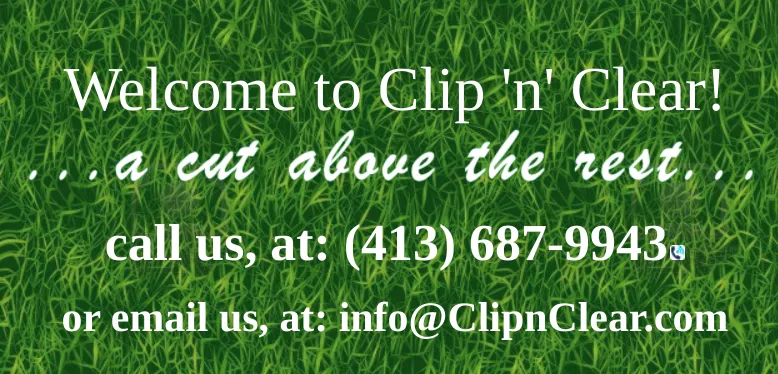 Local yard maintenance experts serving Chicopee, MA - Clip 'n' Clear