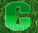 Top-rated yard cleanup service experts serving Chicopee, MA - Clip 'n' Clear