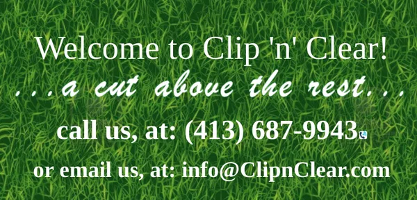 Clip 'n' Clear Logo