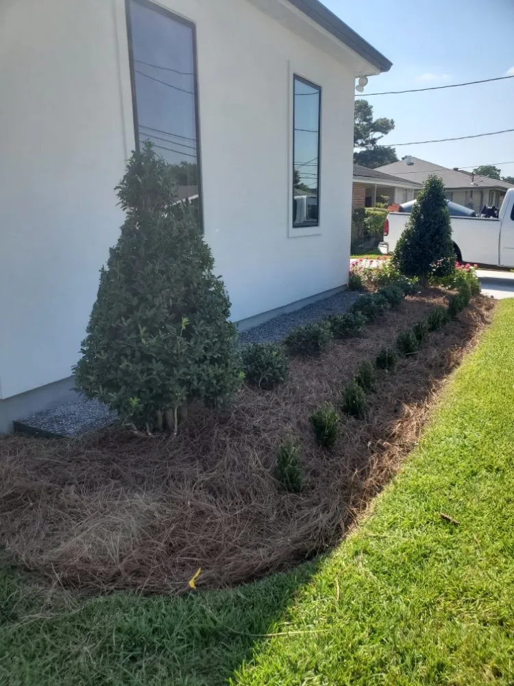 Professional landscaping services in New Orleans, LA - Clip N Go Lawn Care