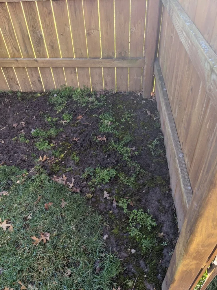 Trusted yard maintenance with custom design across Miamisburg, OH - Clip Yer Tips Lawncare