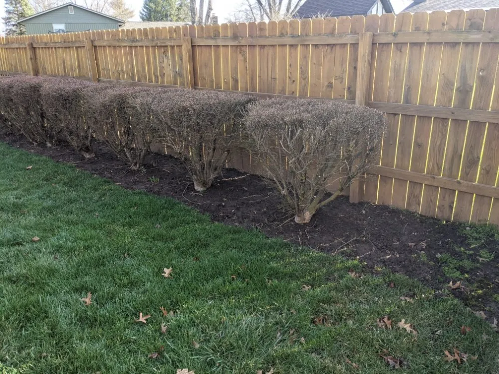 Affordable lawn mowing service in Miamisburg, OH - Clip Yer Tips Lawncare