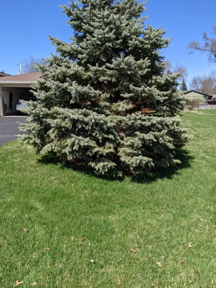 Professional lawn care service for outdoor upgrades in Miamisburg, OH by Clip Yer Tips Lawncare