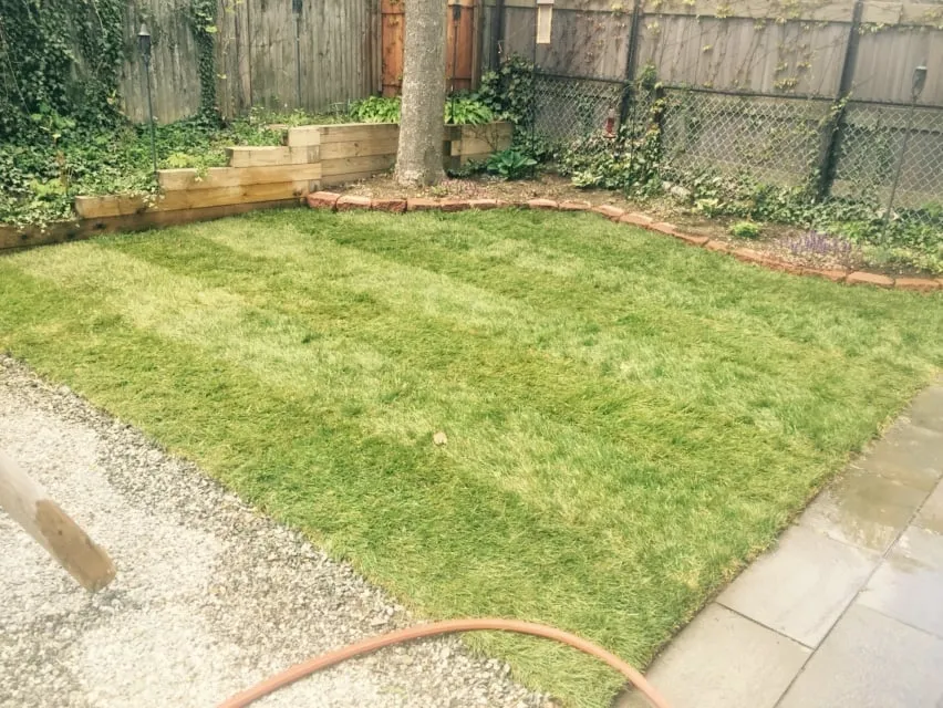 Top-rated residential landscaping experts serving Winchester, MA - Clipco Landscaping