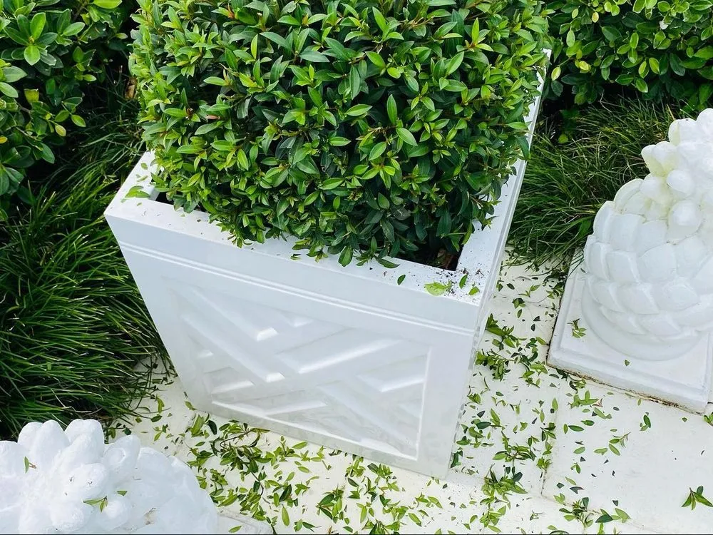 Custom yard cleanup service for beautiful yards across Birmingham, AL - Clipers Lawncare