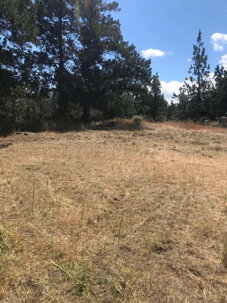 Reliable outdoor landscaping experts serving Bend, OR - Clipped