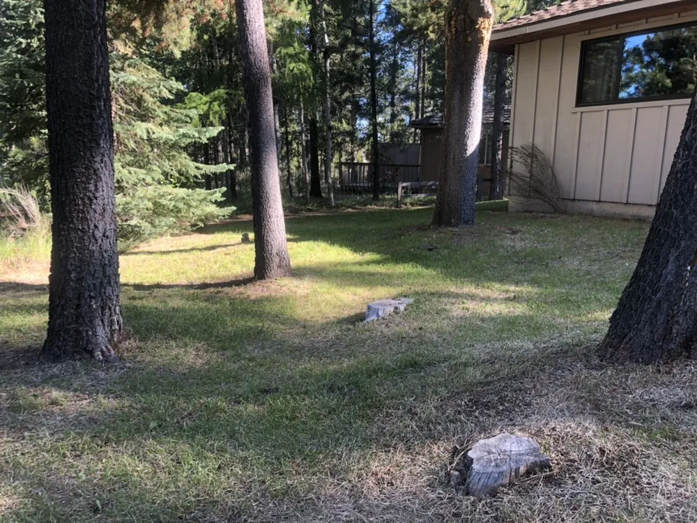 Affordable lawn mowing service for homes in Bend, OR by Clipped