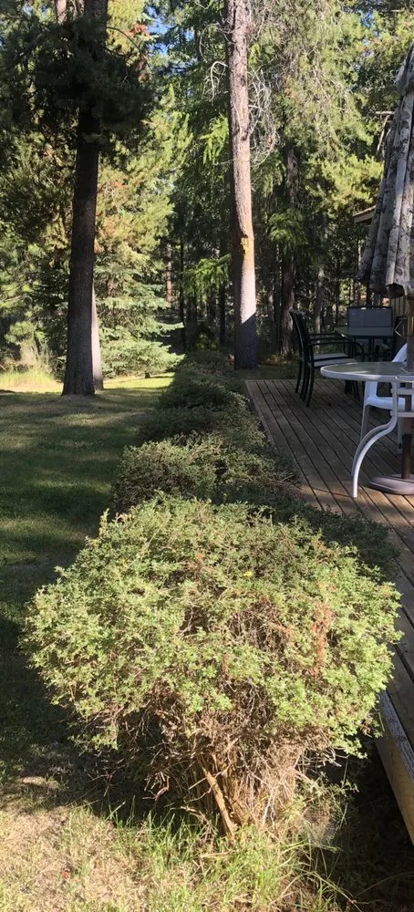 Reliable lawn care service in Bend, OR - Clipped