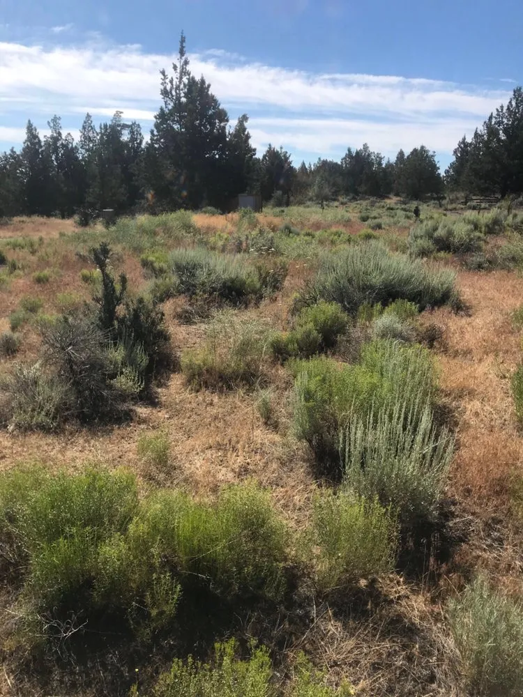 Professional landscaping services for year-round maintenance across Bend, OR - Clipped