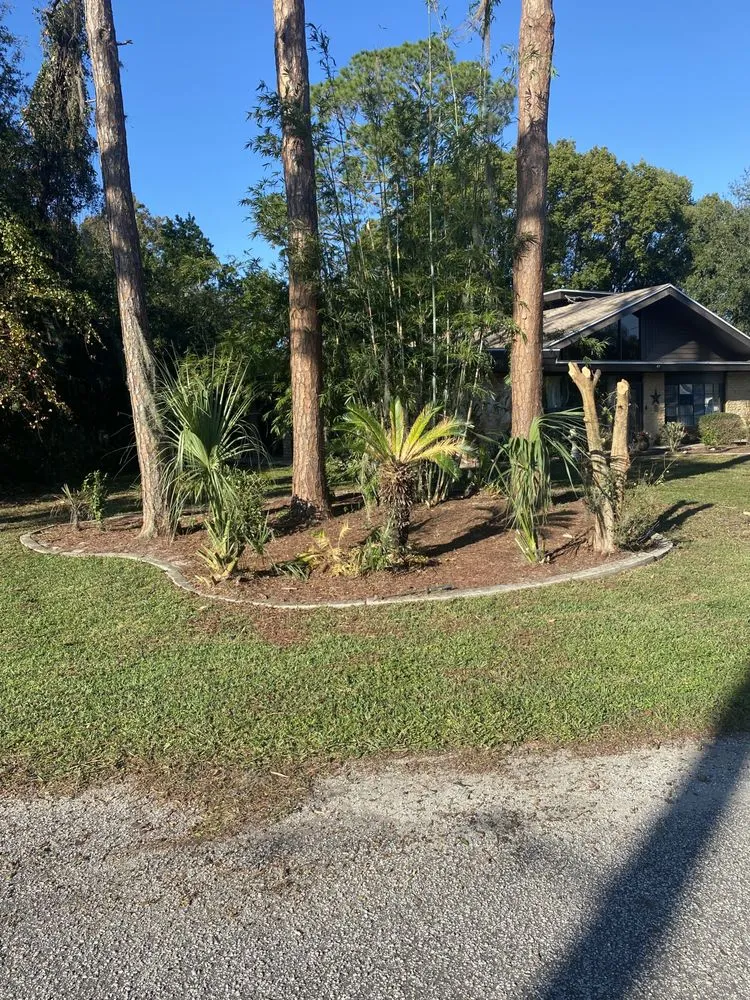 Reliable residential landscaping in Lecanto, FL by Clipped To Perfection Lawn Care and Landscaping