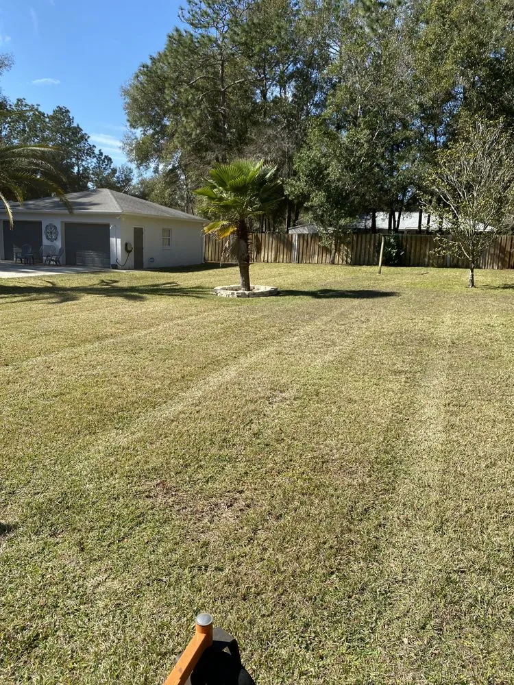 Trusted landscape design for outdoor upgrades across Lecanto, FL - Clipped To Perfection Lawn Care and Landscaping