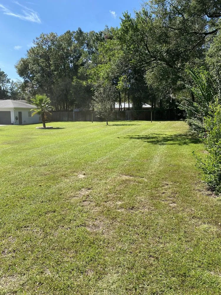 Affordable residential landscaping experts serving Lecanto, FL - Clipped To Perfection Lawn Care and Landscaping