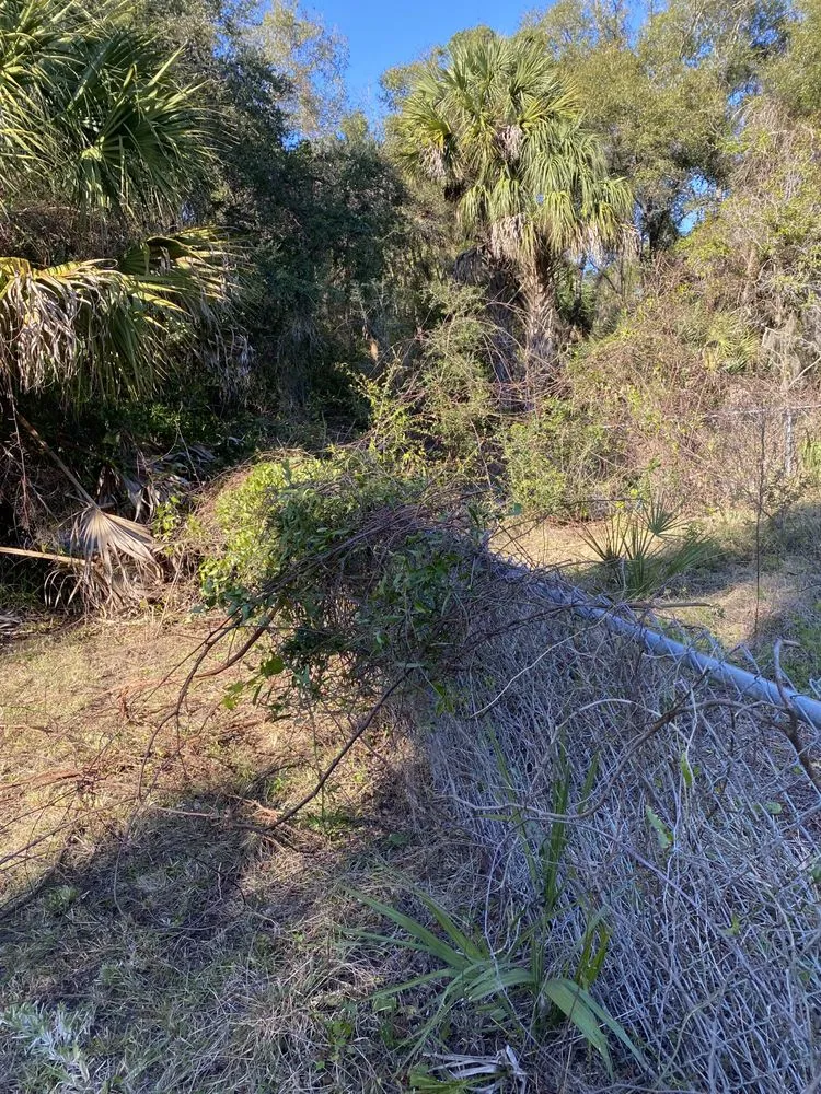 Affordable garden landscaping in Lecanto, FL by Clipped To Perfection Lawn Care and Landscaping