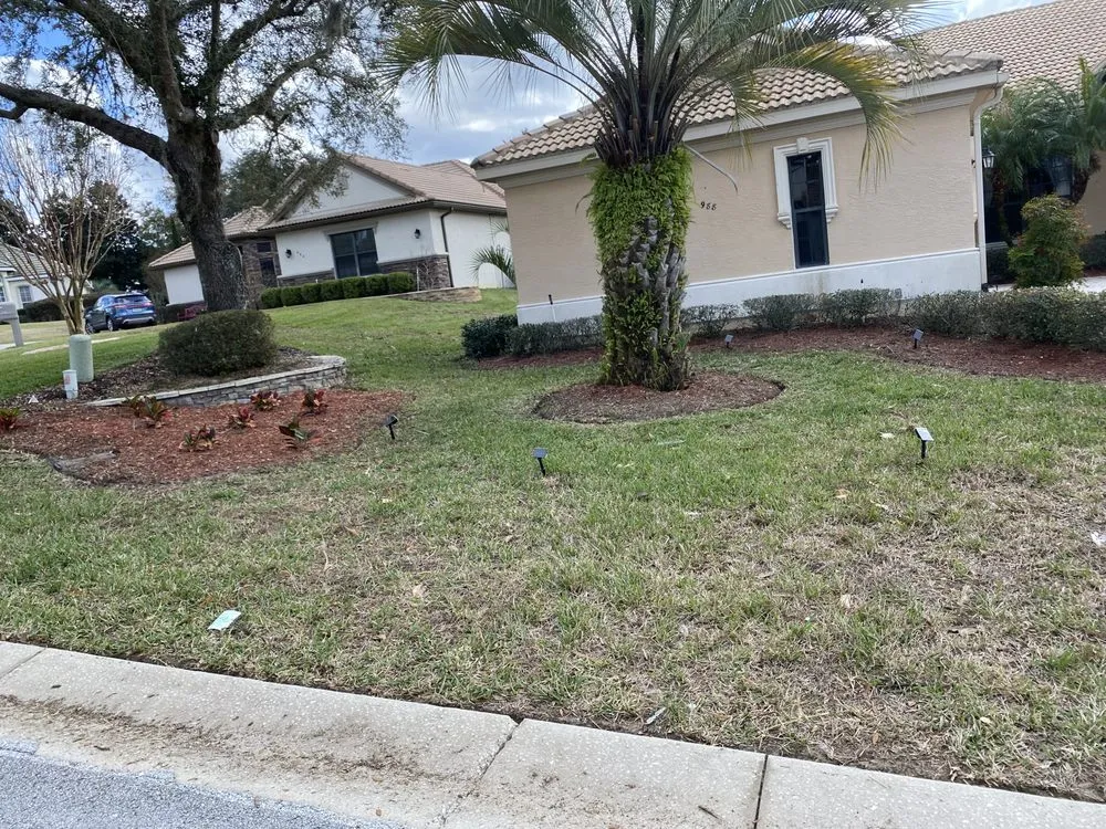 Top-rated yard cleanup service in Lecanto, FL by Clipped To Perfection Lawn Care and Landscaping