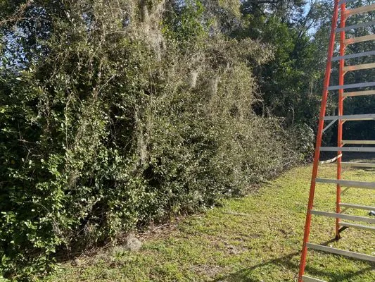 Clipped To Perfection Lawn Care and Landscaping