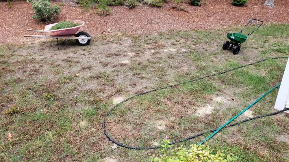 Reliable outdoor landscaping for homes across Mashpee, MA - Clipper Landscape