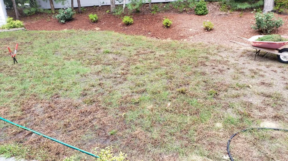 Custom outdoor landscaping in Mashpee, MA by Clipper Landscape