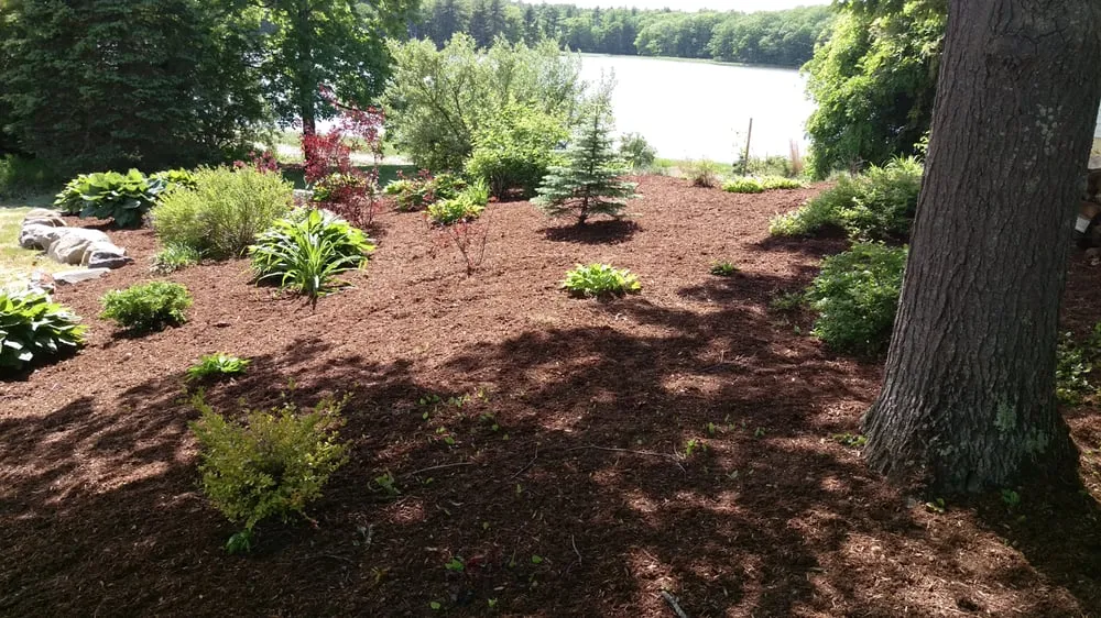 Reliable yard cleanup service in Portsmouth, NH by Clipper Landscaping