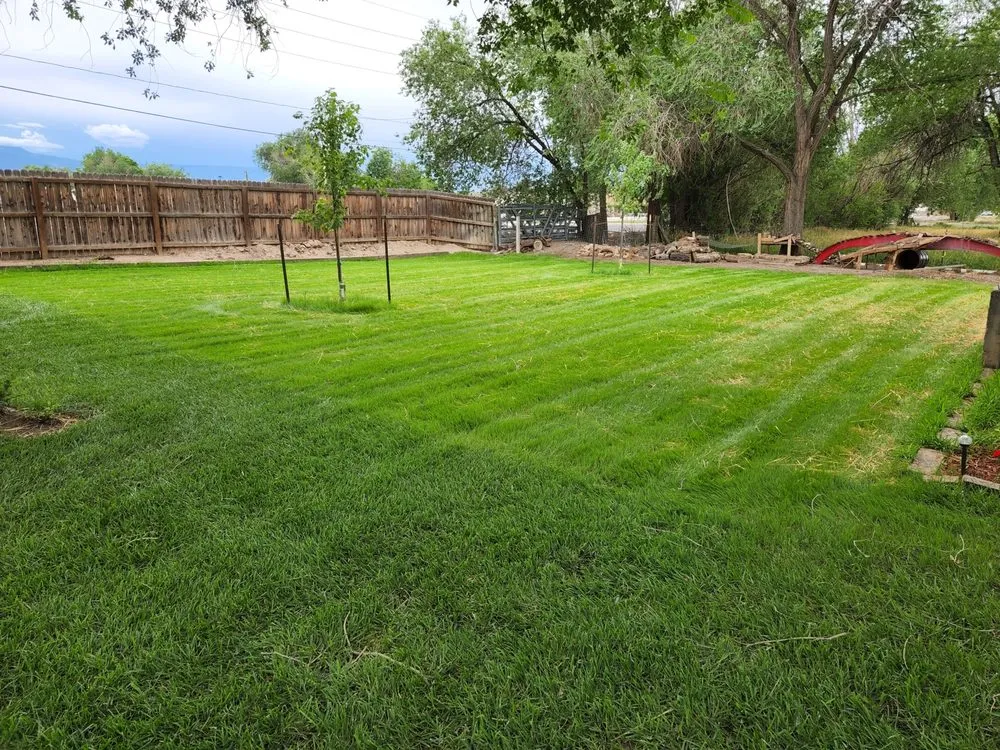 Custom landscaping services with custom design in Grand Junction, CO by Clipper lawn care llp