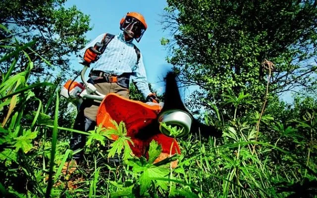 Expert garden landscaping in Baxter Springs, KS by Clipper Lawn Service