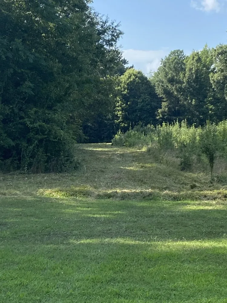 Custom landscape installation for residential properties in Greenwood, SC by Clipper Partners Land Management