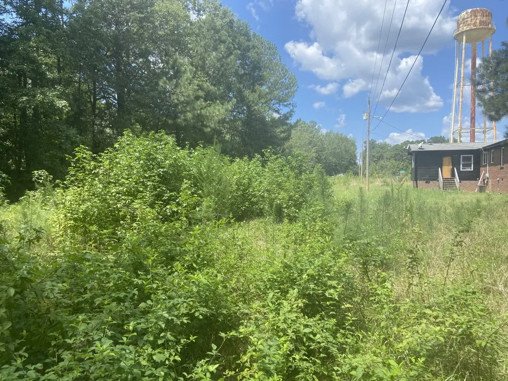 Affordable landscape installation for homes in Greenwood, SC by Clipper Partners Land Management